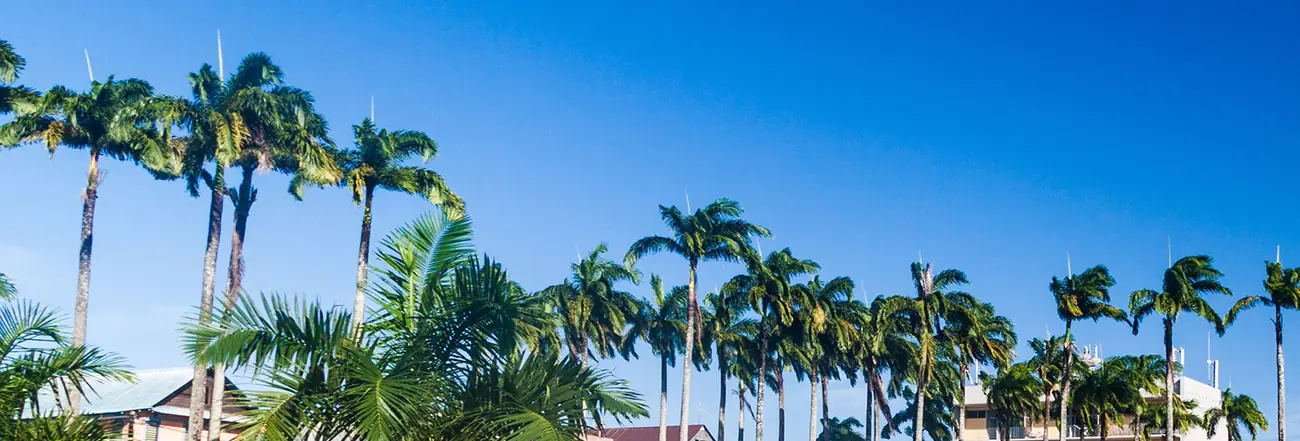 Place des Palmistes, Cayenne